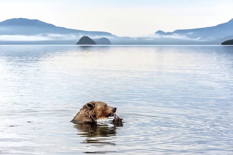 Foto Kurile Lake, Giuseppe DAmico