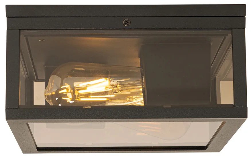 Plafondlamp zwart met smoke glas 2-lichts IP44 - Charlois