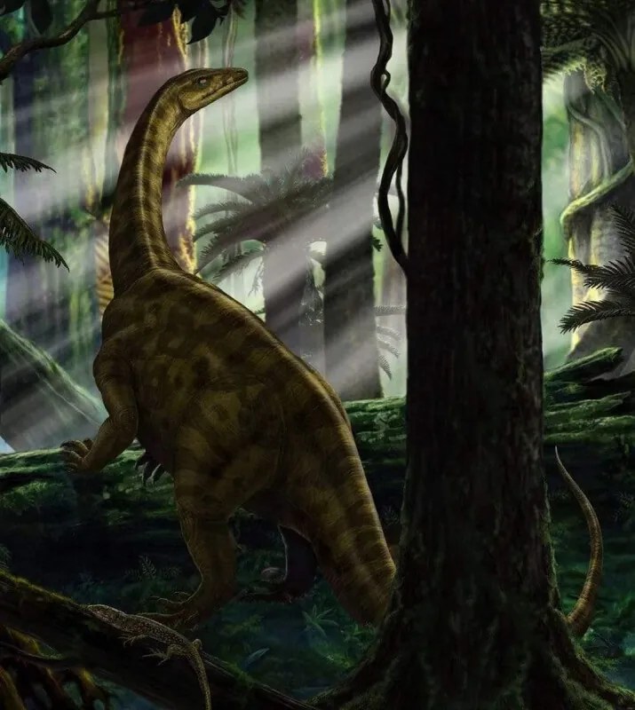 Riojasaurus Forest Vlies Fotobehang 250x280cm 5-banen