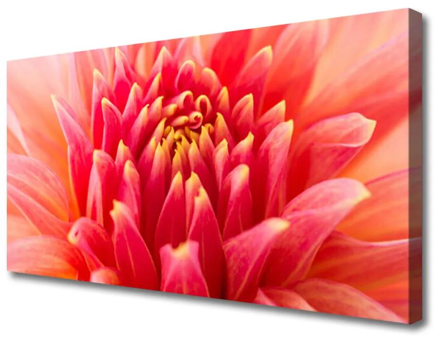 Canvas doek foto Natuur bloem plant 100x50 cm