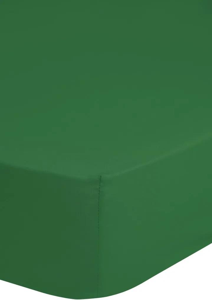 Katoenen hoeslaken strijkvrij, groen (160x200)
