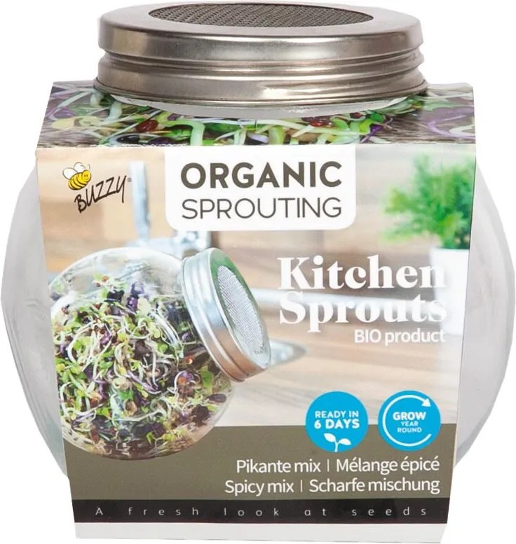 Buzzy Grow - spruitgroente Pikante salade - glazen pot