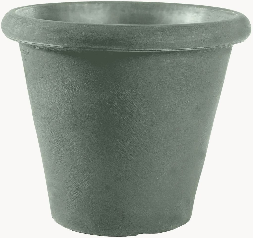 Plantenpot Camelia