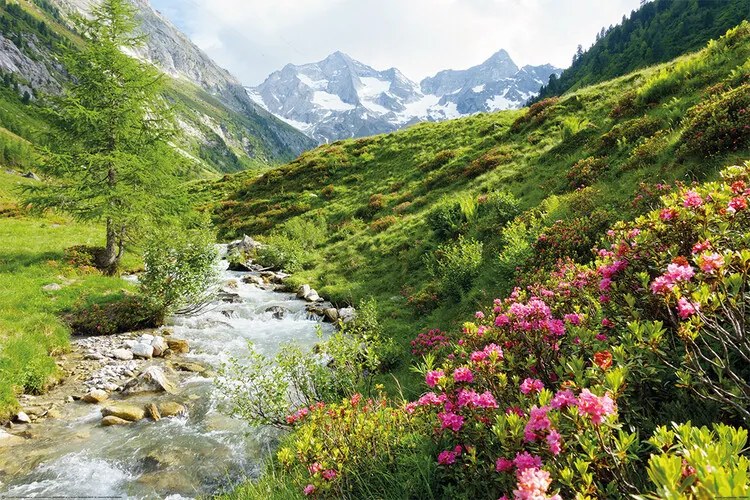 Poster Alpy - Nature and Mountains