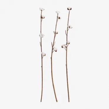 Set Van 3 Decoratieve Gedroogde Takken Vedran Wit - Sklum