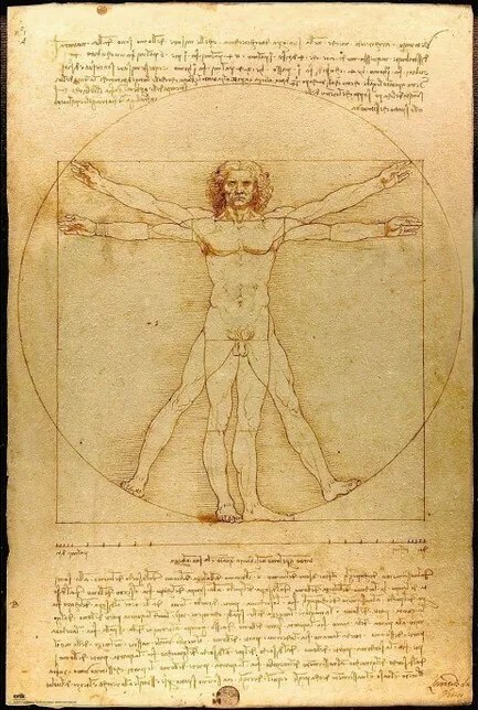 Poster De Vitruviaanse man, Leonardo Da Vinci