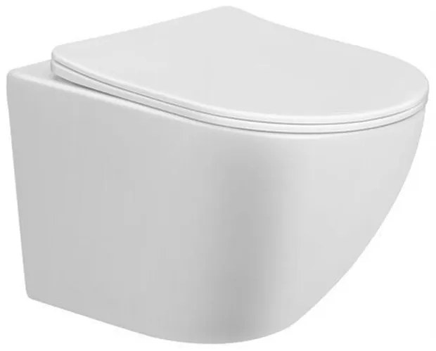 GO by Van Marcke Perl II - hangtoilet - PACK - 49.3x36cm - zonder spoelrand - keramiek - met dunne softclose en take-off zitting - glans wit 20059313