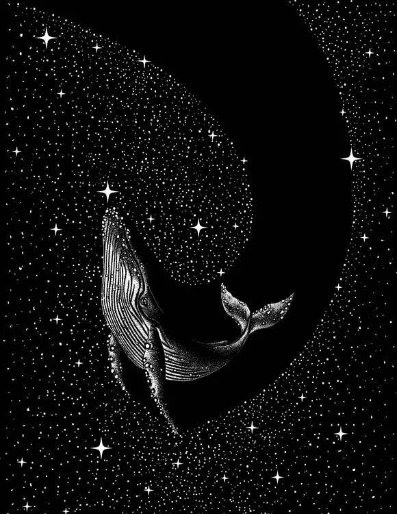 Ilustratie Starry Whale, Aliriza Cakir