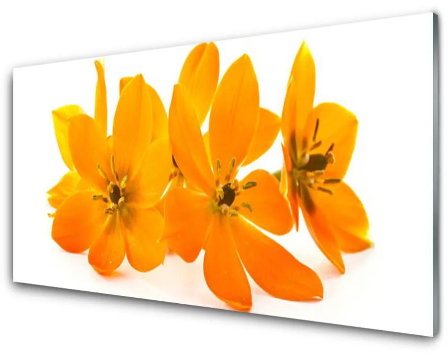 Foto op glas Oranje bloemen van de installatie 100x50 cm