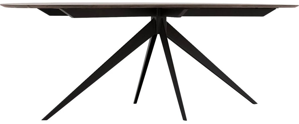 Goossens Excellent Eettafel Uniek, Semi rond 220 x 100 cm