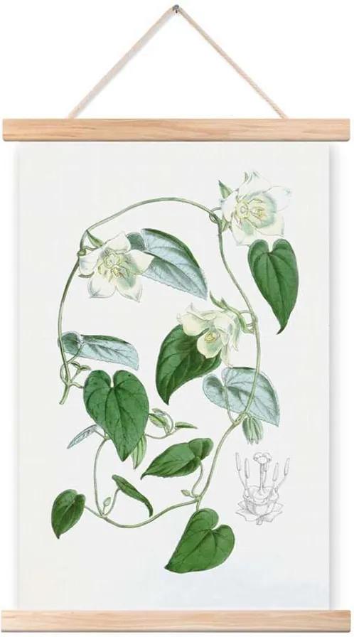 Art For The Home katoenen poster Botanisch - wit/groen - 40x60 cm - Leen Bakker