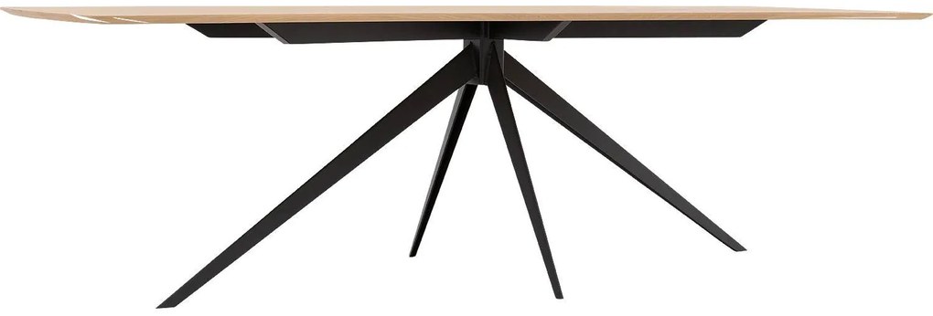 Goossens Excellent Eettafel Uniek, Semi rechthoekig 260 x 100 cm