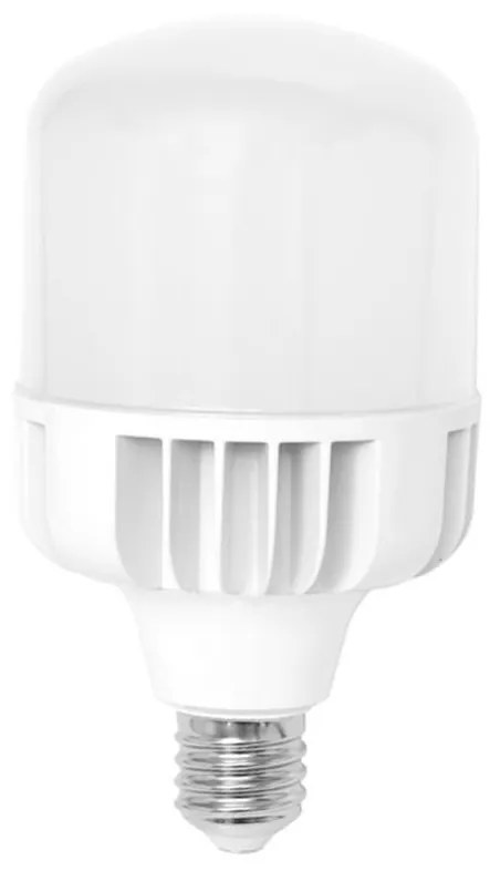 LED Lamp E40/95W/230V - Ecolite
