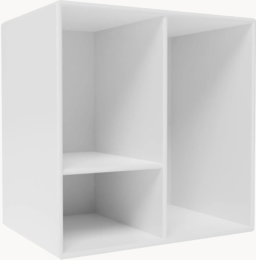 Module Mini 1002