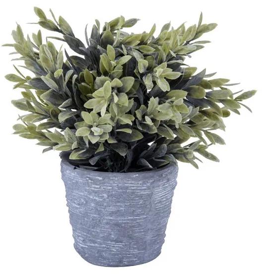 Kunstplantje in pot met groot blad - groen - 25 cm