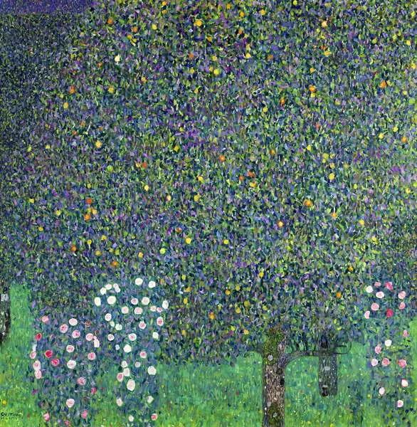 Kunstreproductie Roses under the Trees, c.1905, Gustav Klimt