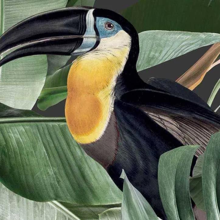 KEK Amsterdam Botanical birds behang zwart