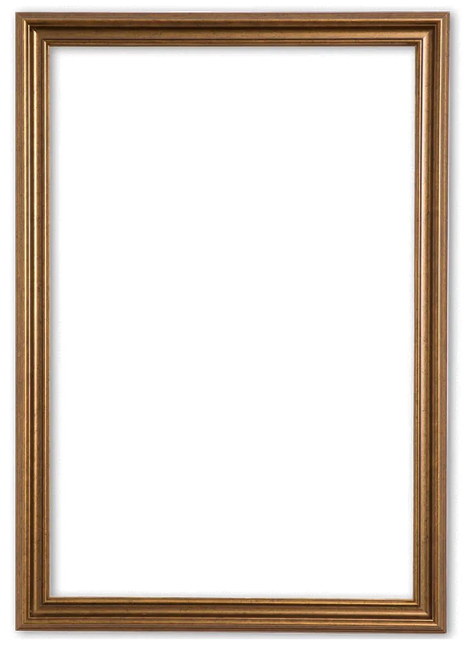 Klassieke Lijst 45x60 cm Goud - Abby