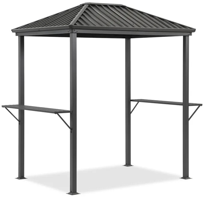 Terni 2 x 1,5m metalen barbecue prieel Tuinpunt