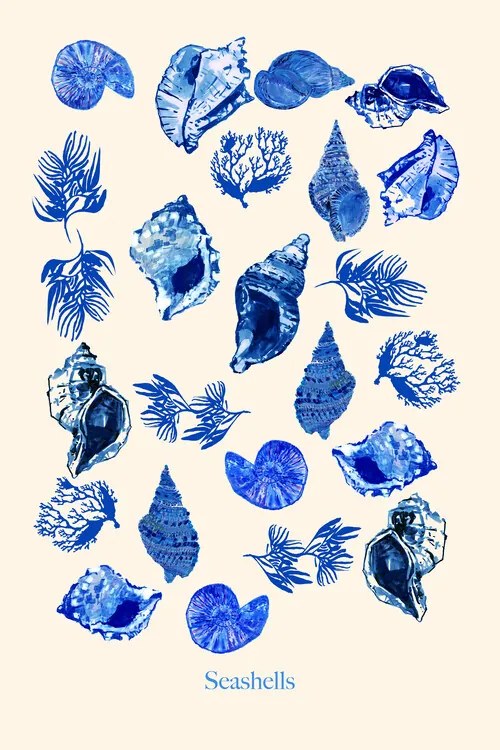 Ilustratie Seashells, Poster cartissi