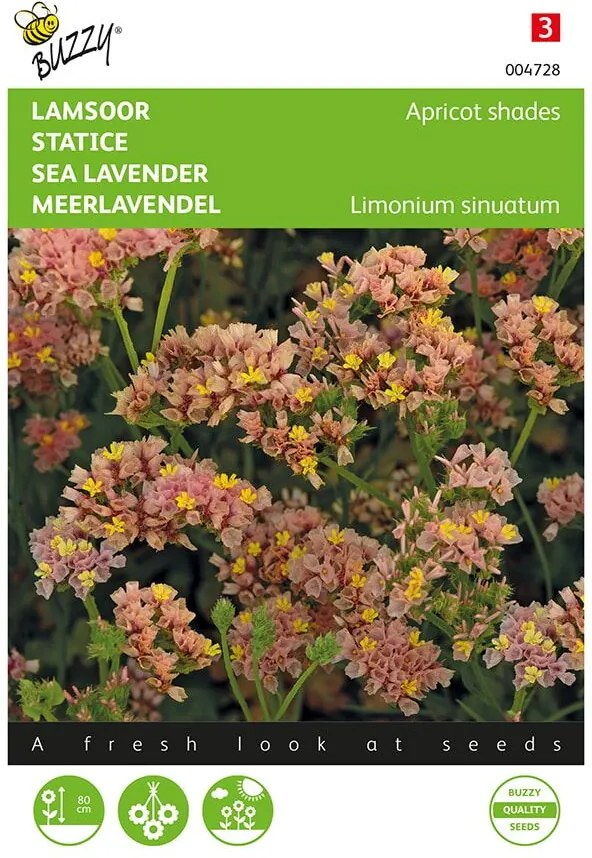 Buzzy seeds - bloemzaden - Limonium, Lamsoor Apricot shades