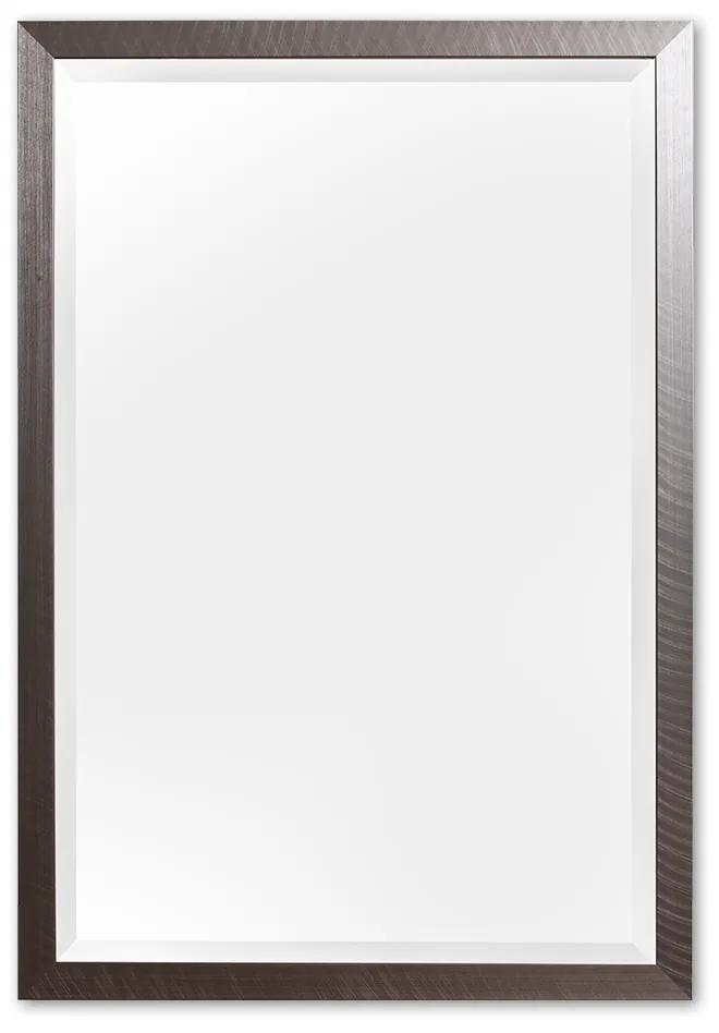 Moderne Spiegel 46x106 cm RVS Zwart - Ella