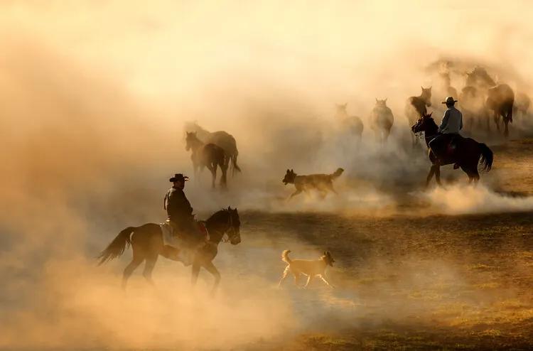 Fotobehang Horses, (128 x 85 cm)