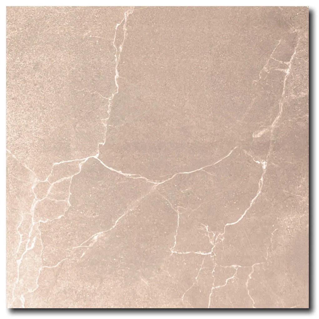 Gepolijste Vloertegel 60x60 Cm Marmerlook Archides Bruin RBT41