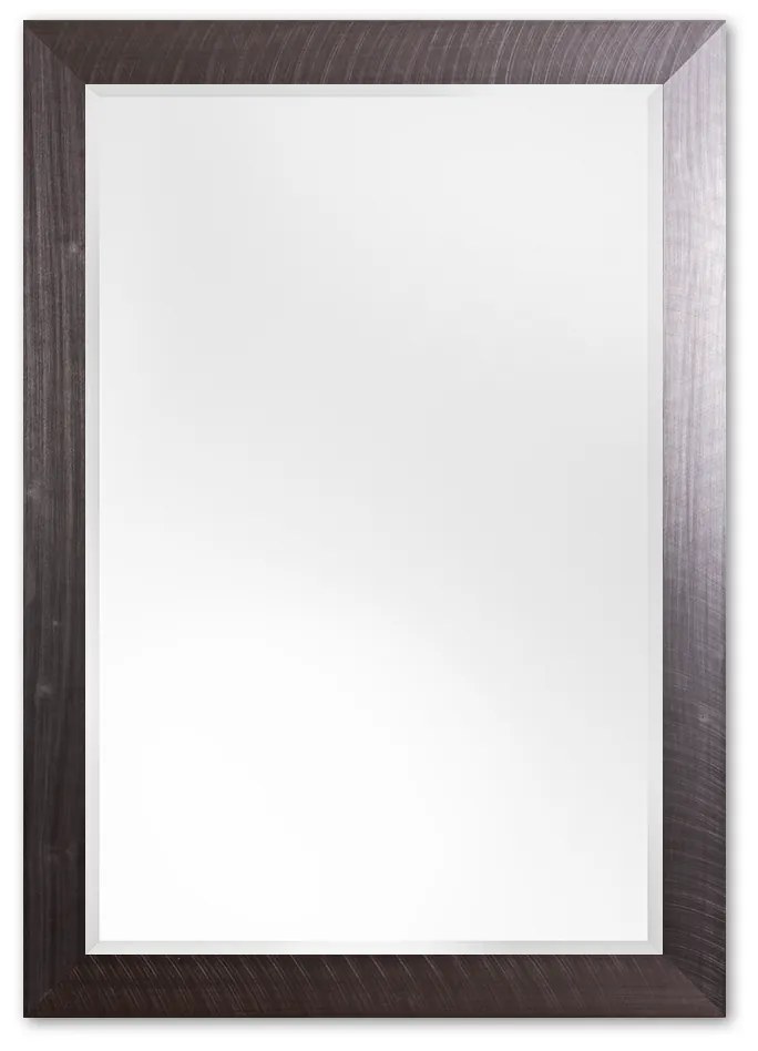 Moderne Spiegel 72x102 cm RVS - Anna