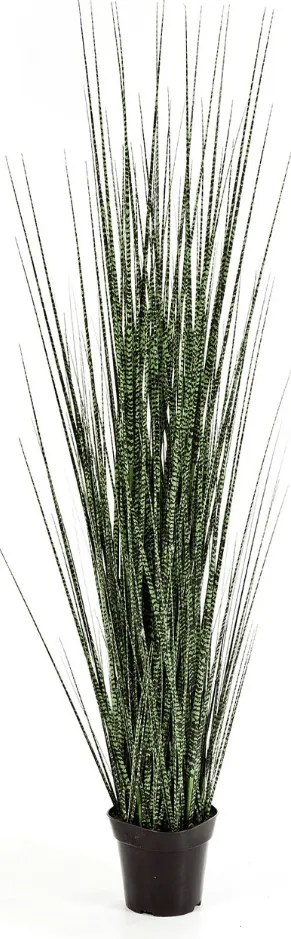 Kunstgras Zebra Gracilis - 120 cm