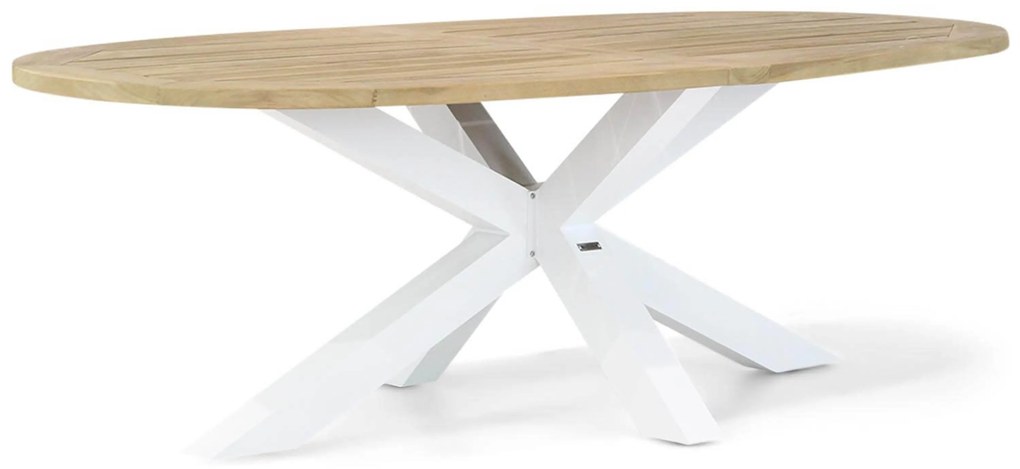 Dining Tuintafel ovaal 240 x 120 cm Teak Old teak greywash Bradford