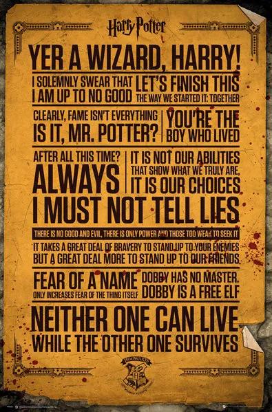 Poster Harry Potter - Quotes, (61 x 91.5 cm)
