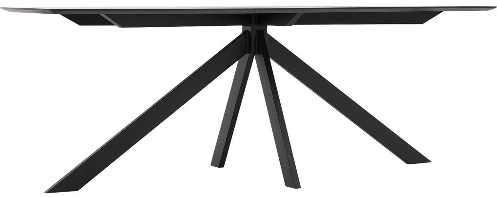 Goossens Excellent Eettafel Uniek, Semi rechthoekig 200 x 100 cm