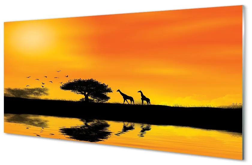 Schilderij op glas Girafe west tree lake 100x50 cm