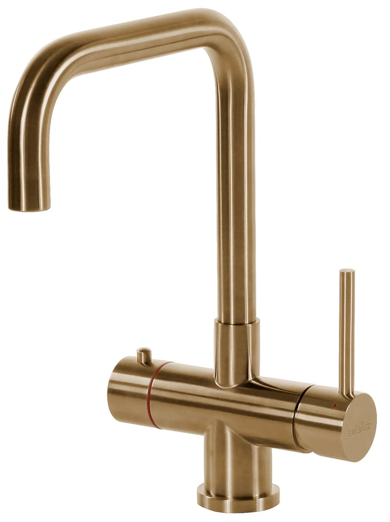 Selsiuz Inox kokend water kraan met titanium single boiler en U-uitloopkraan gold