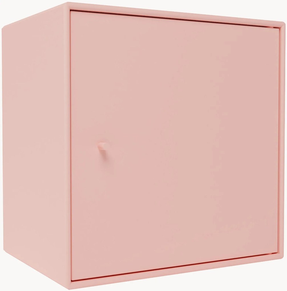 Module Mini 1003