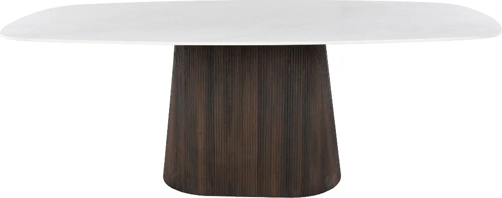 Deens Ovale Eettafel Keramiek - 215 X 105cm.