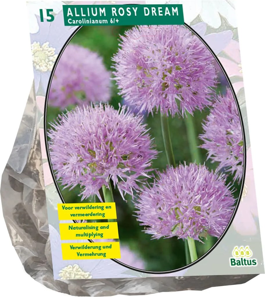 Baltus sierui 'Allium Rosy Dreams' - Roze - voorjaarsbloeiers - 15 bloembollen
