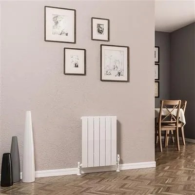 Eastbrook Addington type 10 radiator 45x60cm 421W staal wit glans