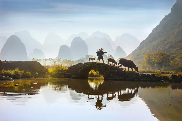 Foto Buffalo Farmer, Istvan Kadar