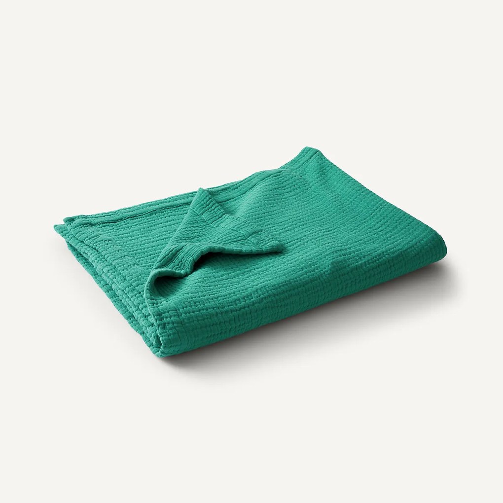 Plaid van tetra, Yafa