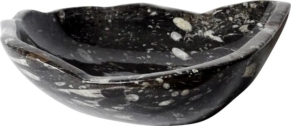 Zwart marmeren waskom | Eeuwenoud Orthoceras Fossiel | 38,5 x 45 x 11,5 cm