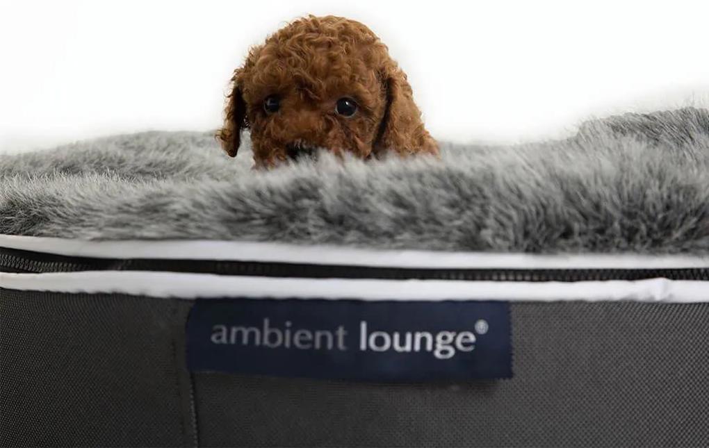 Ambient Lounge Pet Bed Indoor/Outdoor - Small