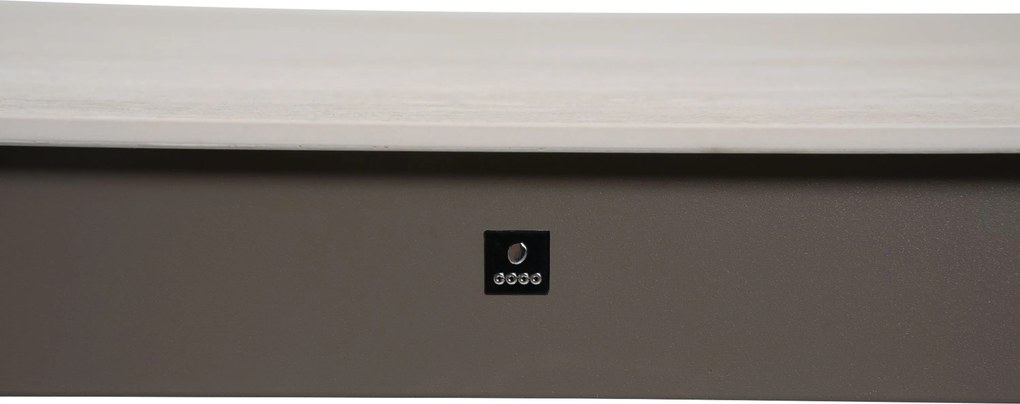 Dining Tuintafel rechthoekig 280x100 cm Taupe Livo