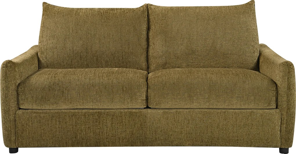 Tweepersoons Slaapbank Met Matras Groen