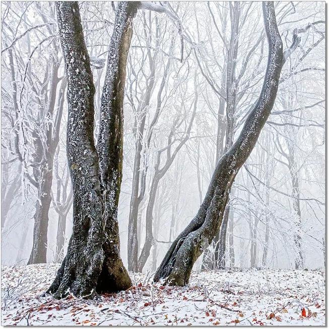 Trees Schilderij, (120 x 120 cm)