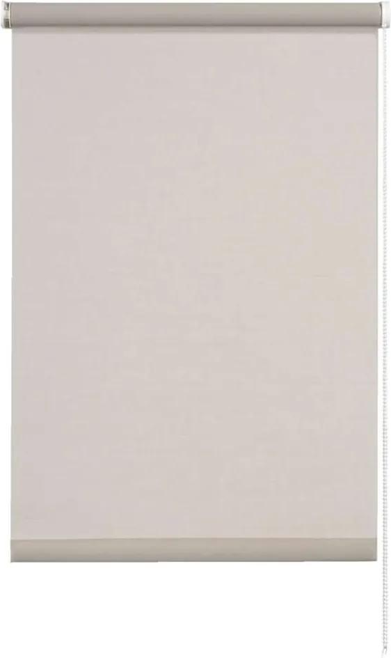 Rolgordijn lichtdoorlatend - lichtgrijs - 60x190 cm - Leen Bakker