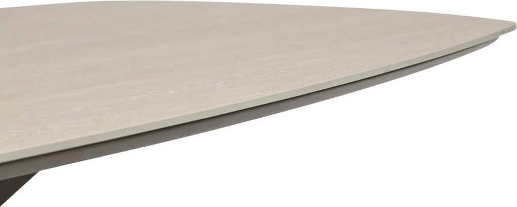 Dining Tuintafel rechthoekig 240 x 120 cm Taupe Voyage