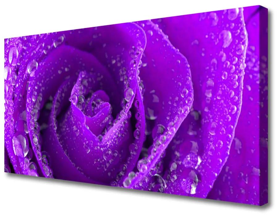 Canvas foto Rose flower plant 100x50 cm