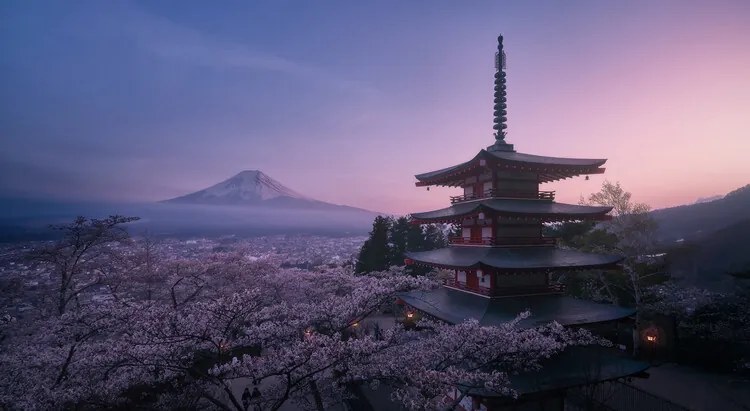 Foto Mt Fuji Sakura, Javier de la